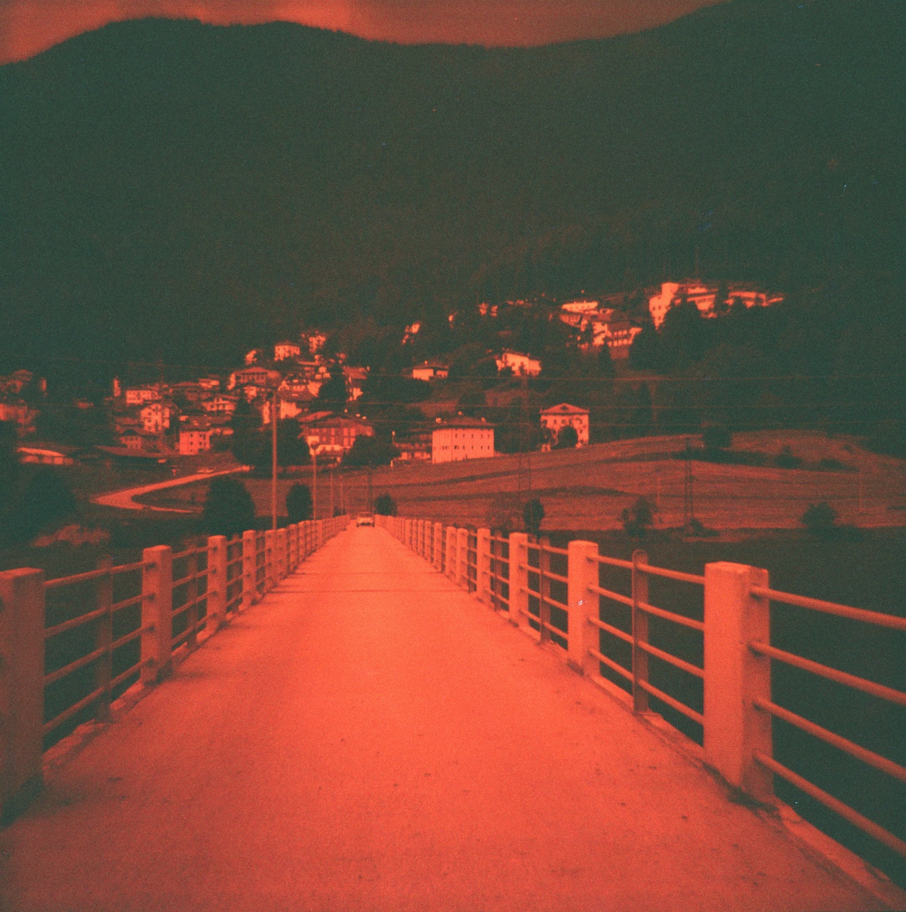 Diana F+ | Lomography RS 100