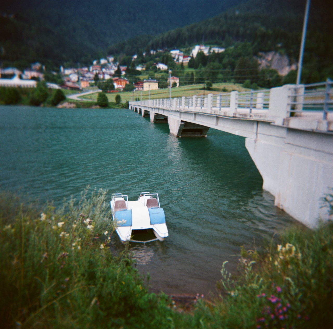 Holga GCFN | Lomography CN 400