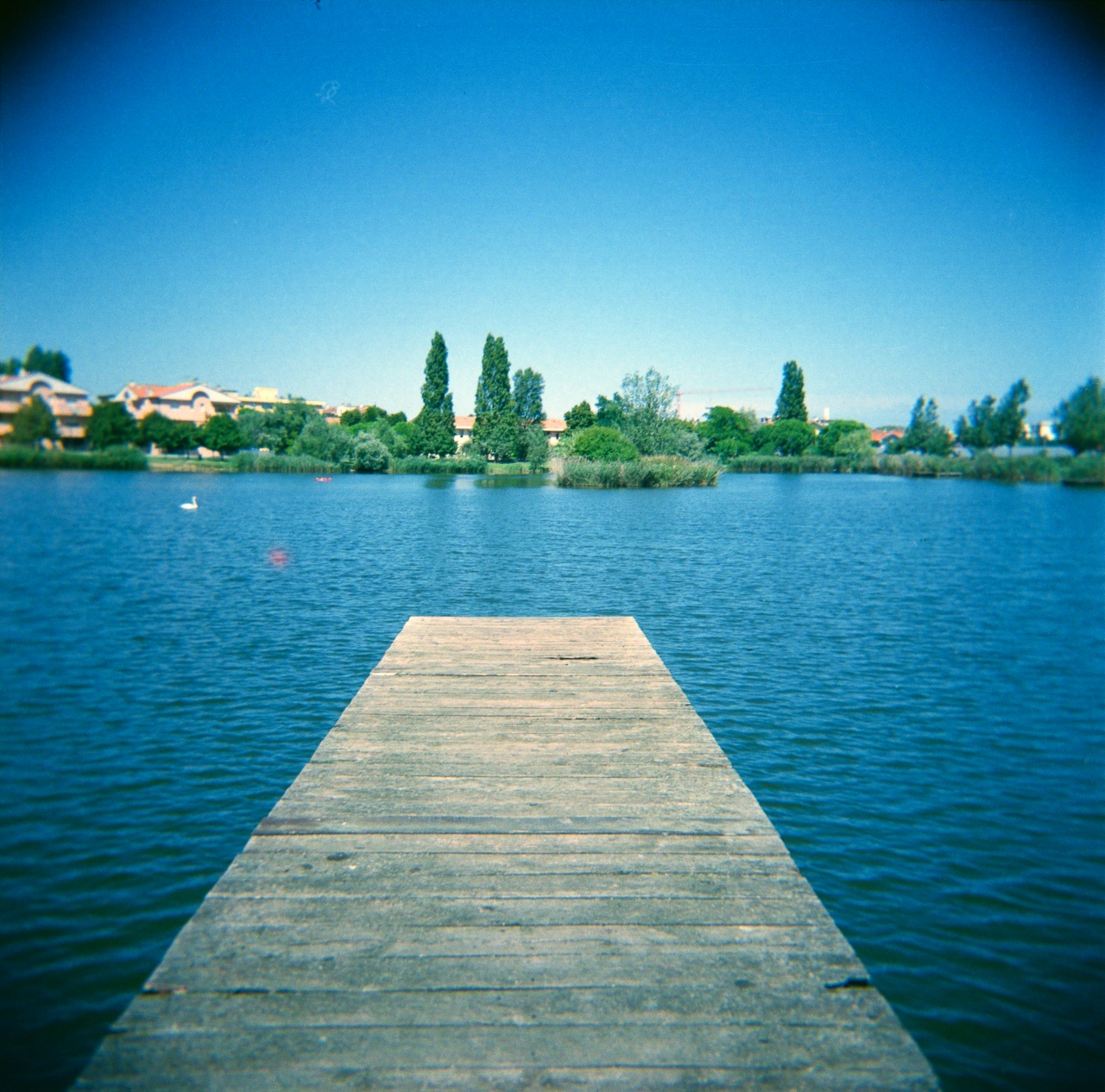 Holga GCFN | Lomography CN 400