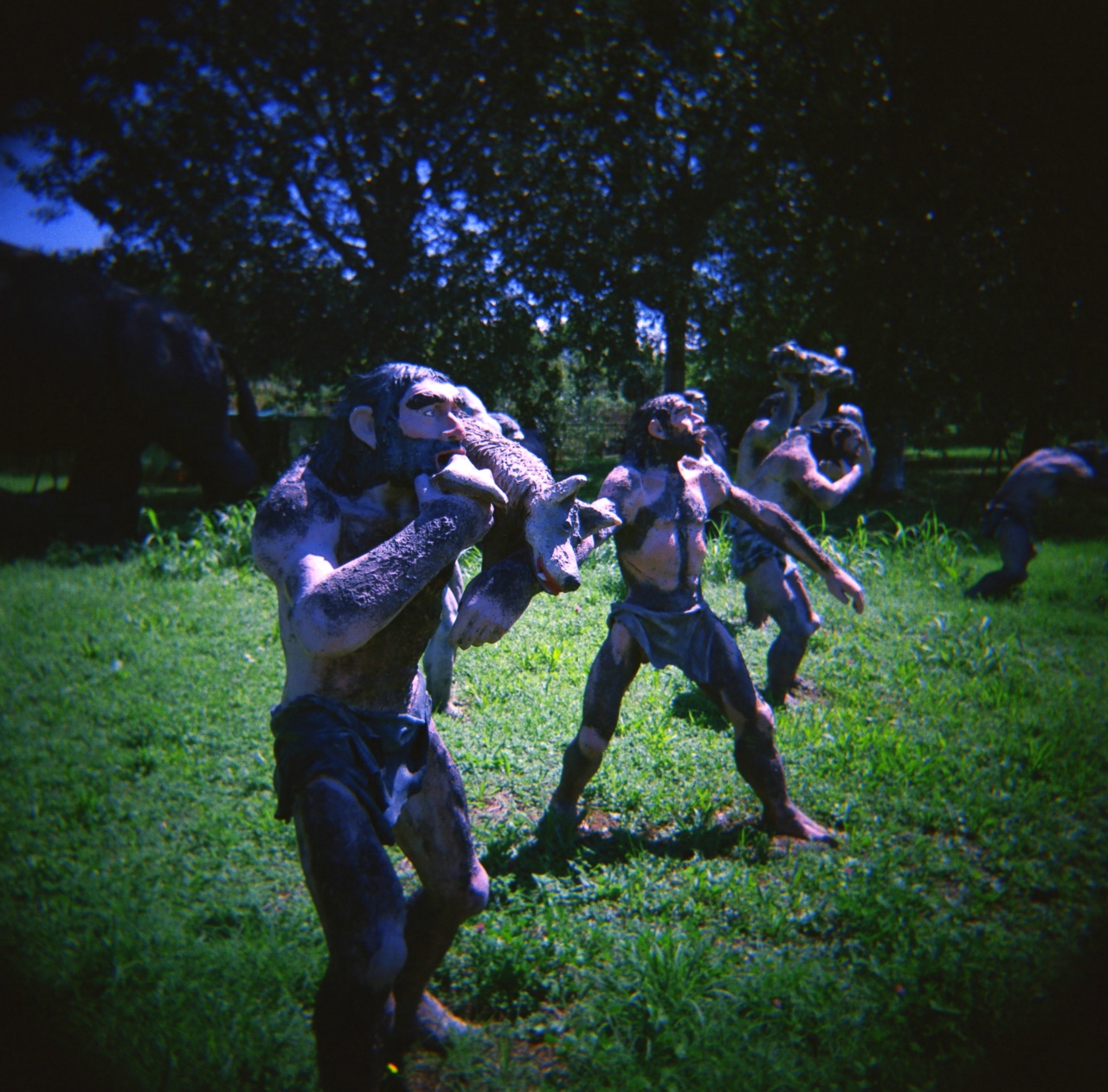 Holga GCFN | Lomography CN 400