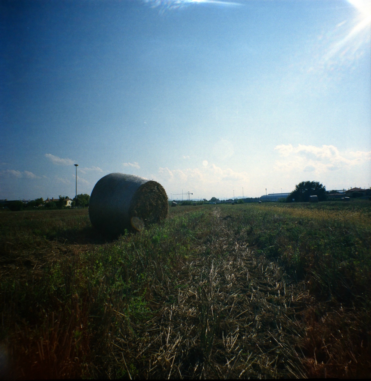 Diana F+ | Kodak Portra 400