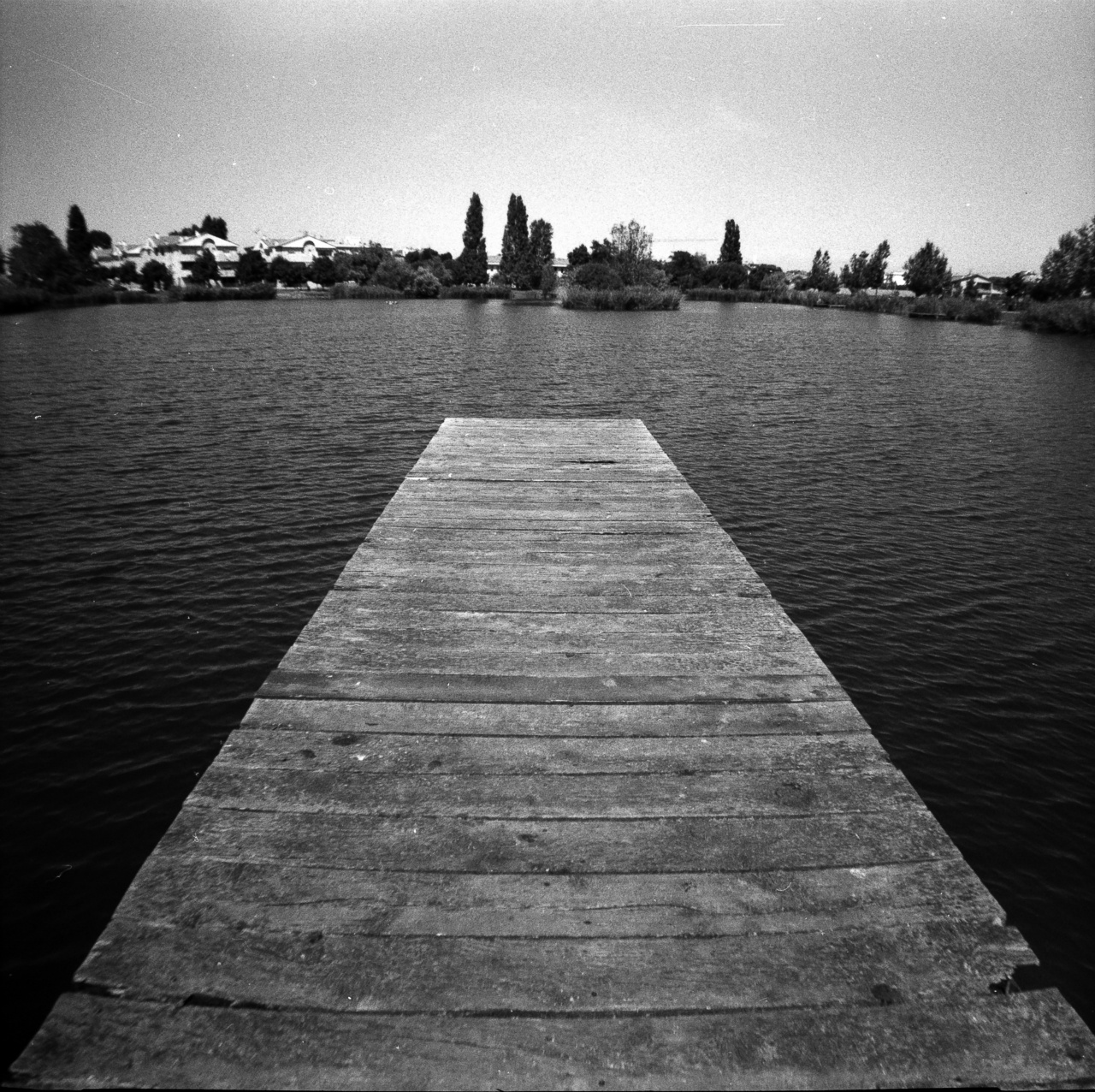 Diana F+ | Ilford HP5+ 400