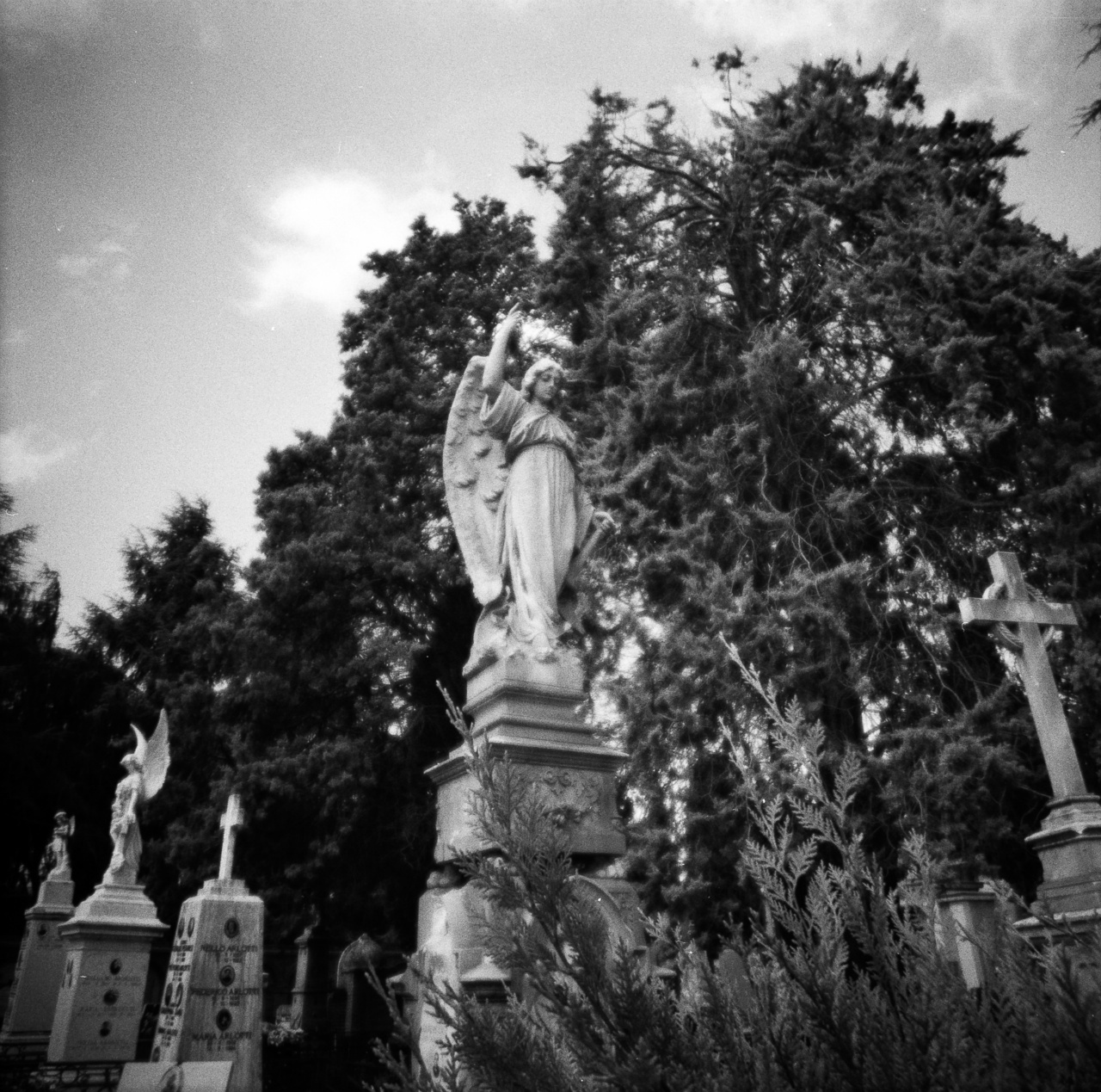 Diana F+ | Ilford HP5+ 400