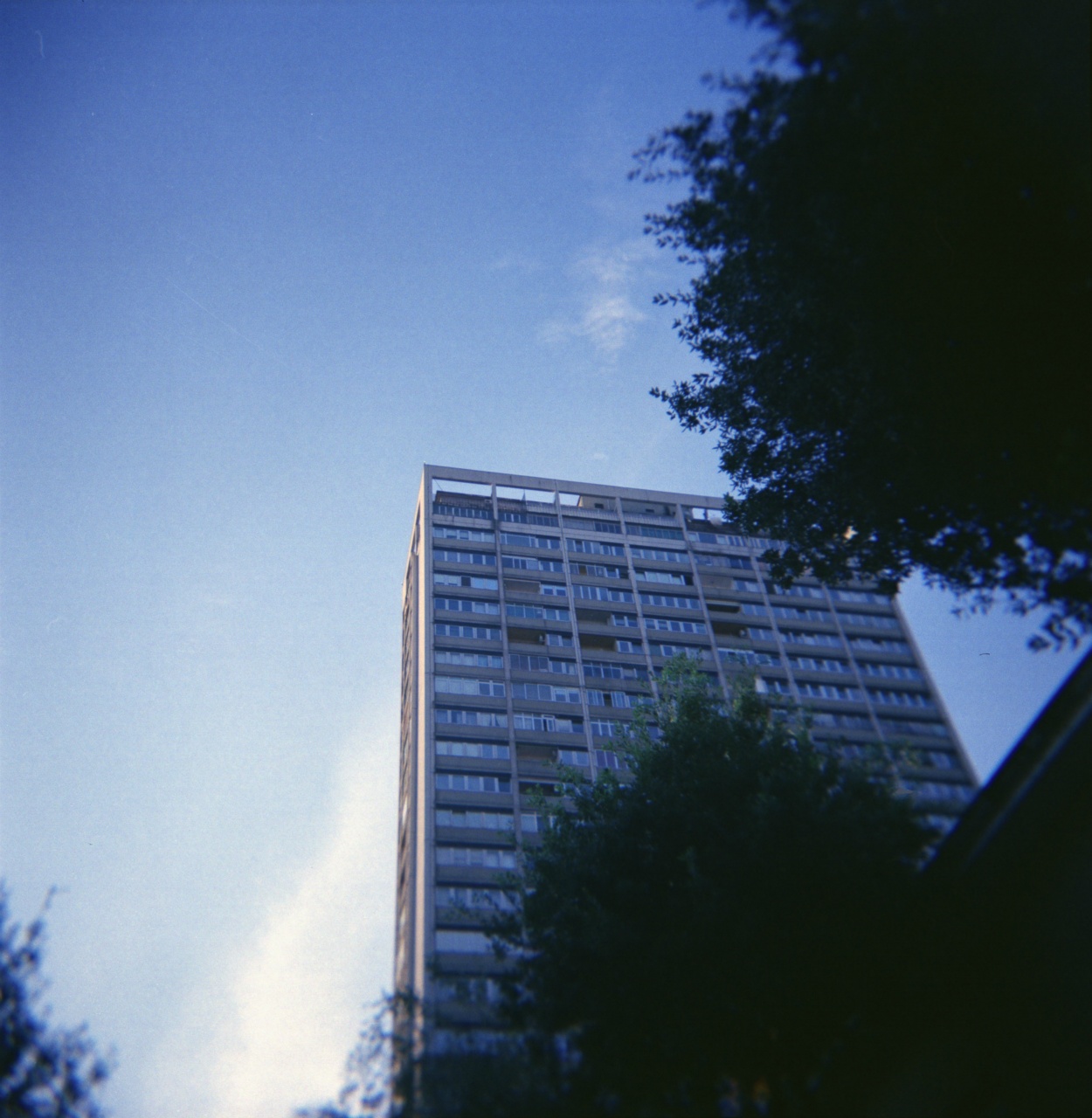 Holga GCFN | Lomography CN 400