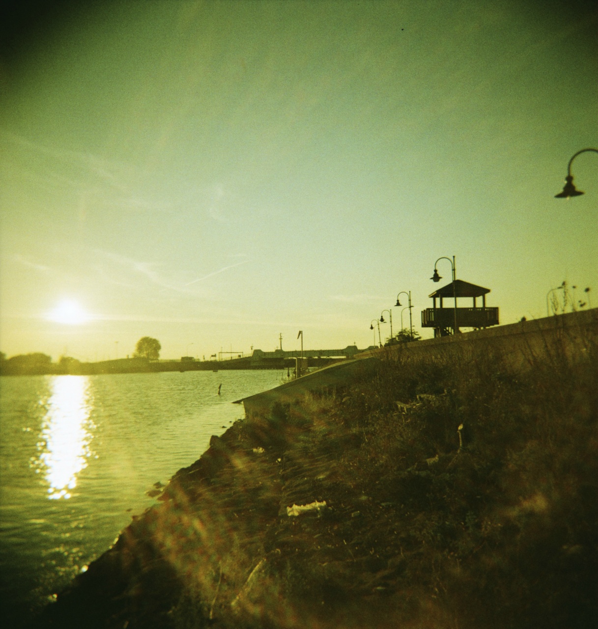 Holga GCFN | Lomography X-Pro Slide 200