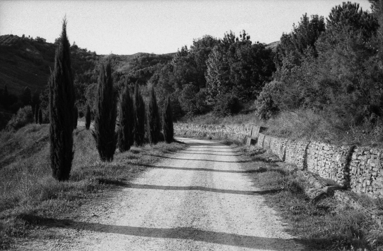 Minolta Hi-Matic 7S | Rollei RPX 400