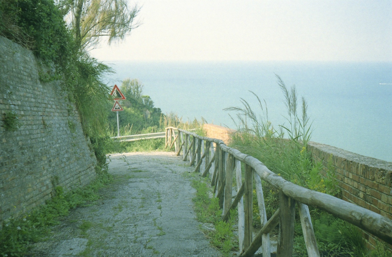 Lomo Smena Symbol | Kodak Color Plus 200