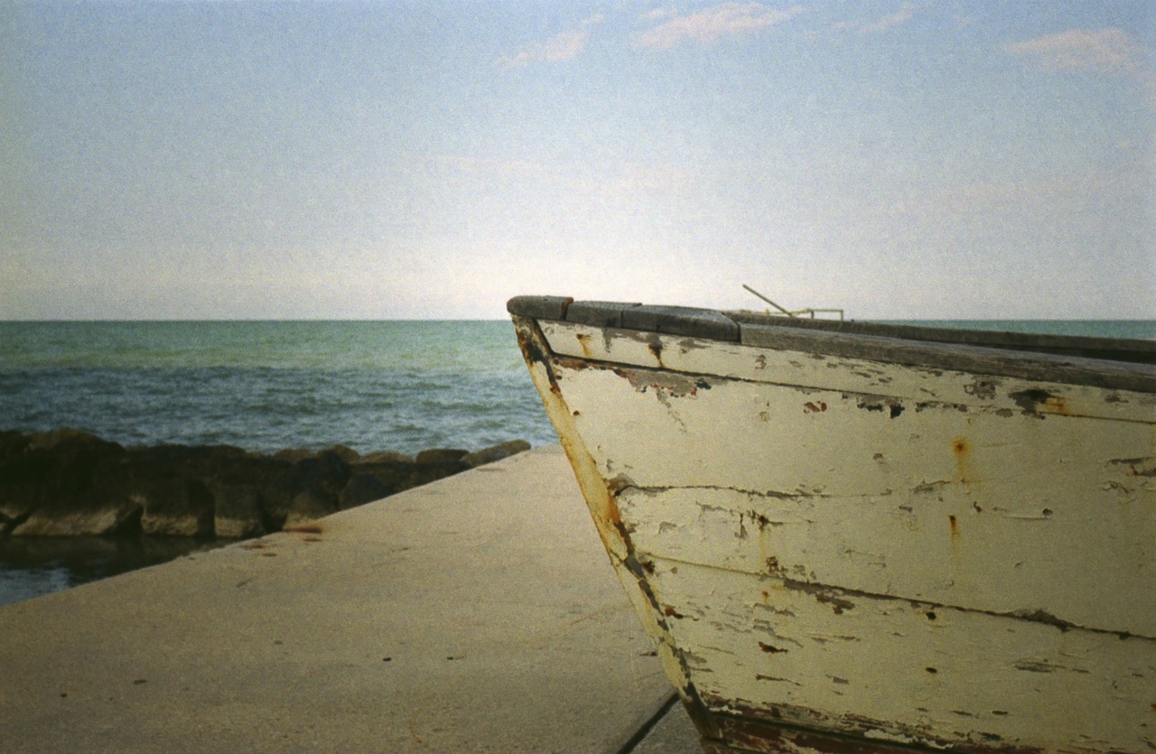 Lomo Smena Symbol | Kodak Color Plus 200