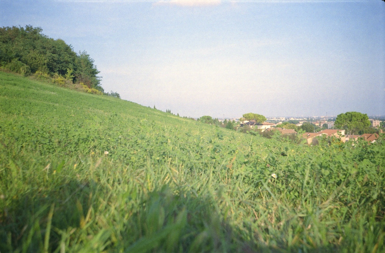 Lomo Smena Symbol | Kodak Color Plus 200