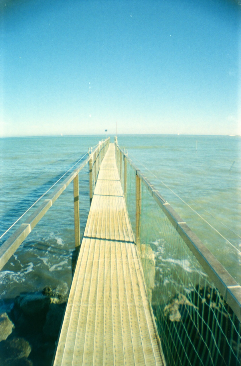 Lomography La Sardina | Lomography CN 400