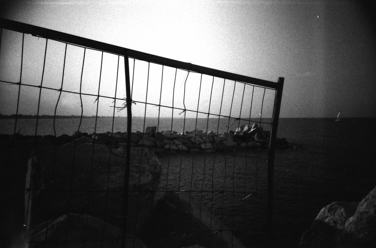 Lomo LC-A | Lomography Lady Grey B&W 400