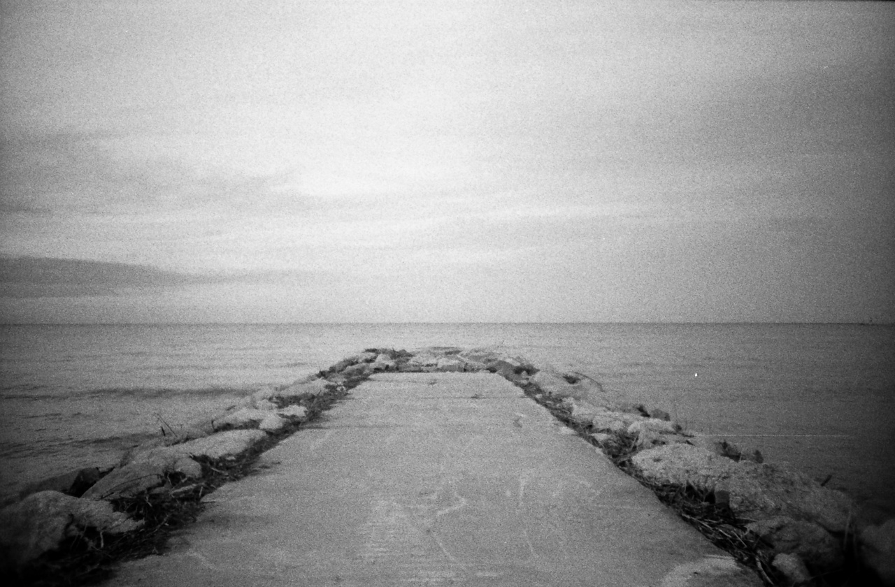 Lomo LC-A | Lomography Lady Grey B&W 400