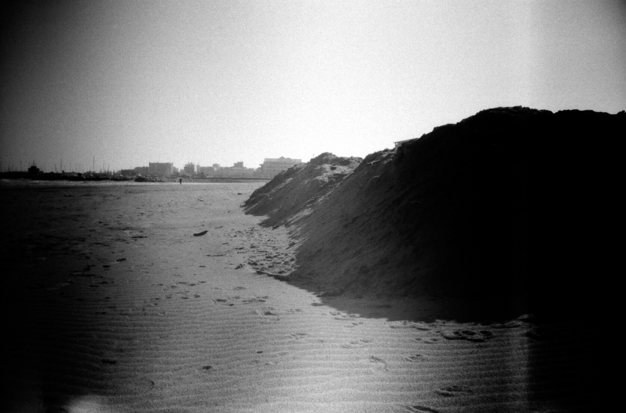 Lomo LC-A | Kodak 100TMX [exp. 07/2011]