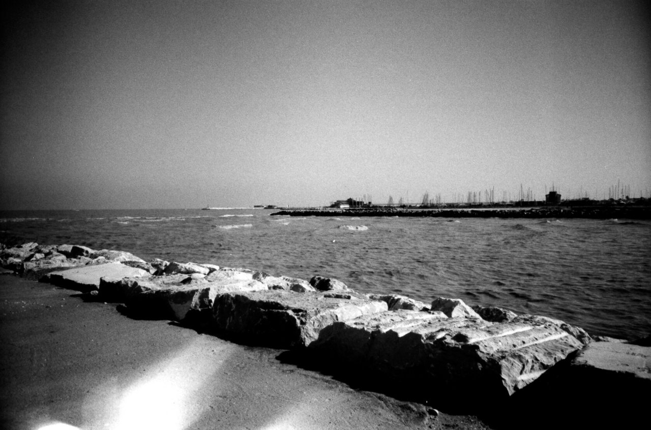 Lomo LC-A | Kodak 100TMX [exp. 07/2011]