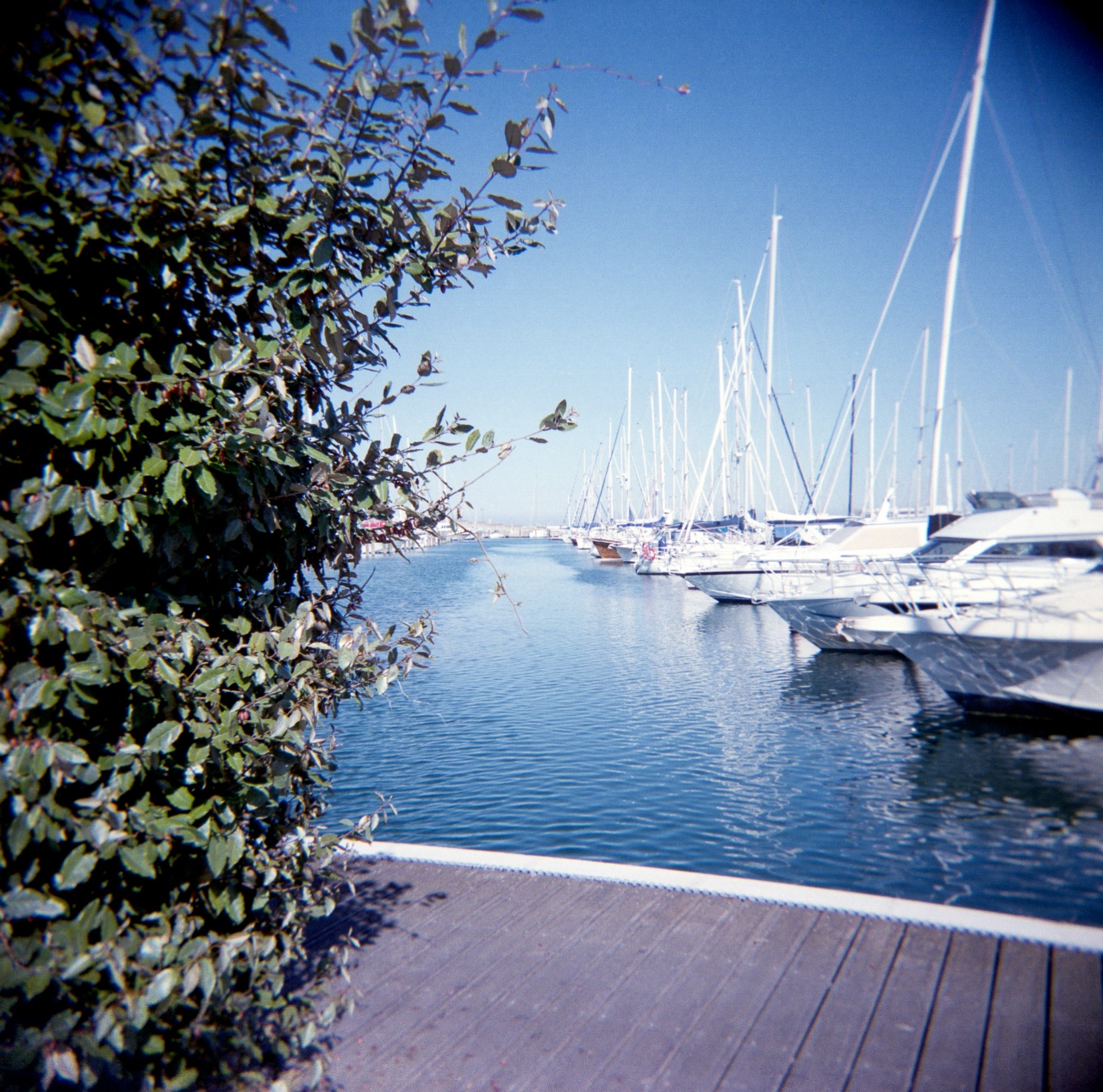 Holga GCFN | Fujicolor PRO 400H