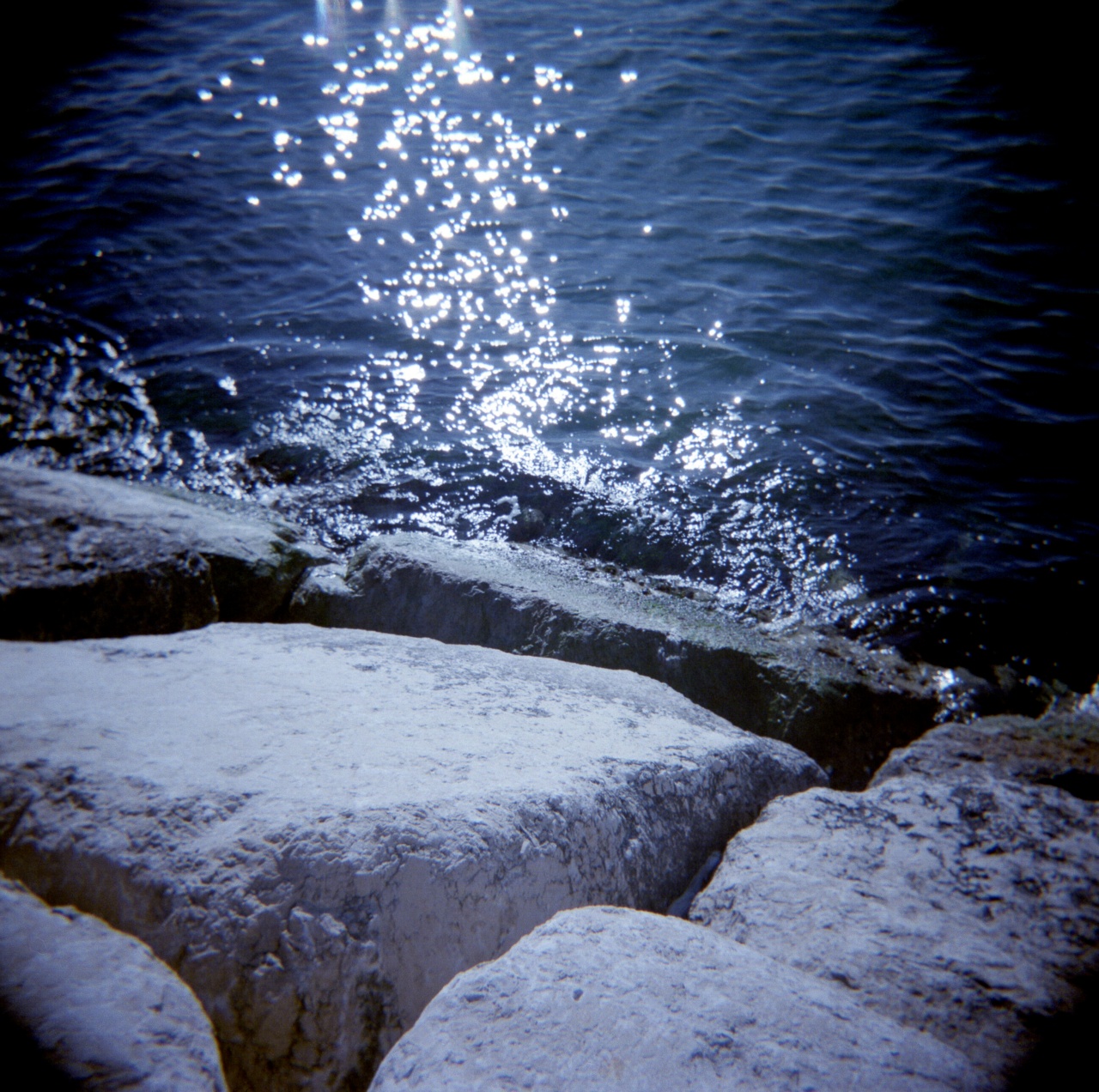 Holga GCFN | Fujicolor PRO 400H