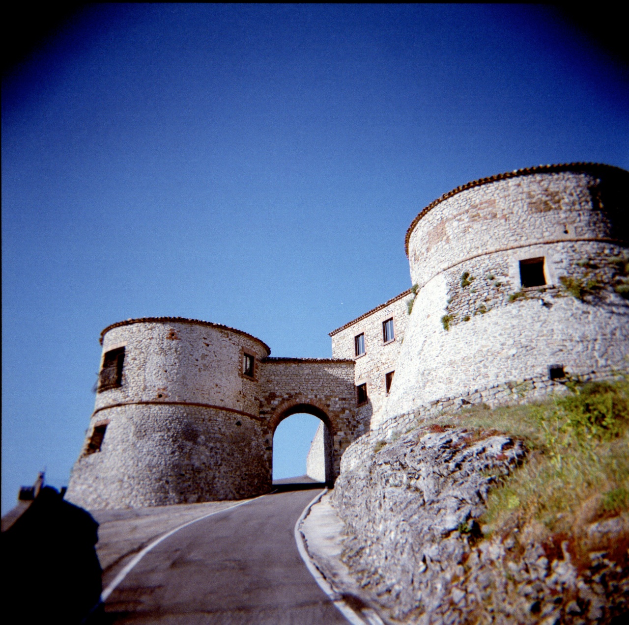 Holga GCFN | Fujicolor PRO 400H