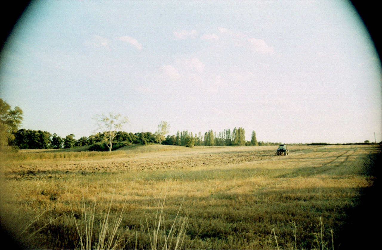 Yashica FX-2 | Lomography X-Pro Slide 200 [exp. 10/2017]