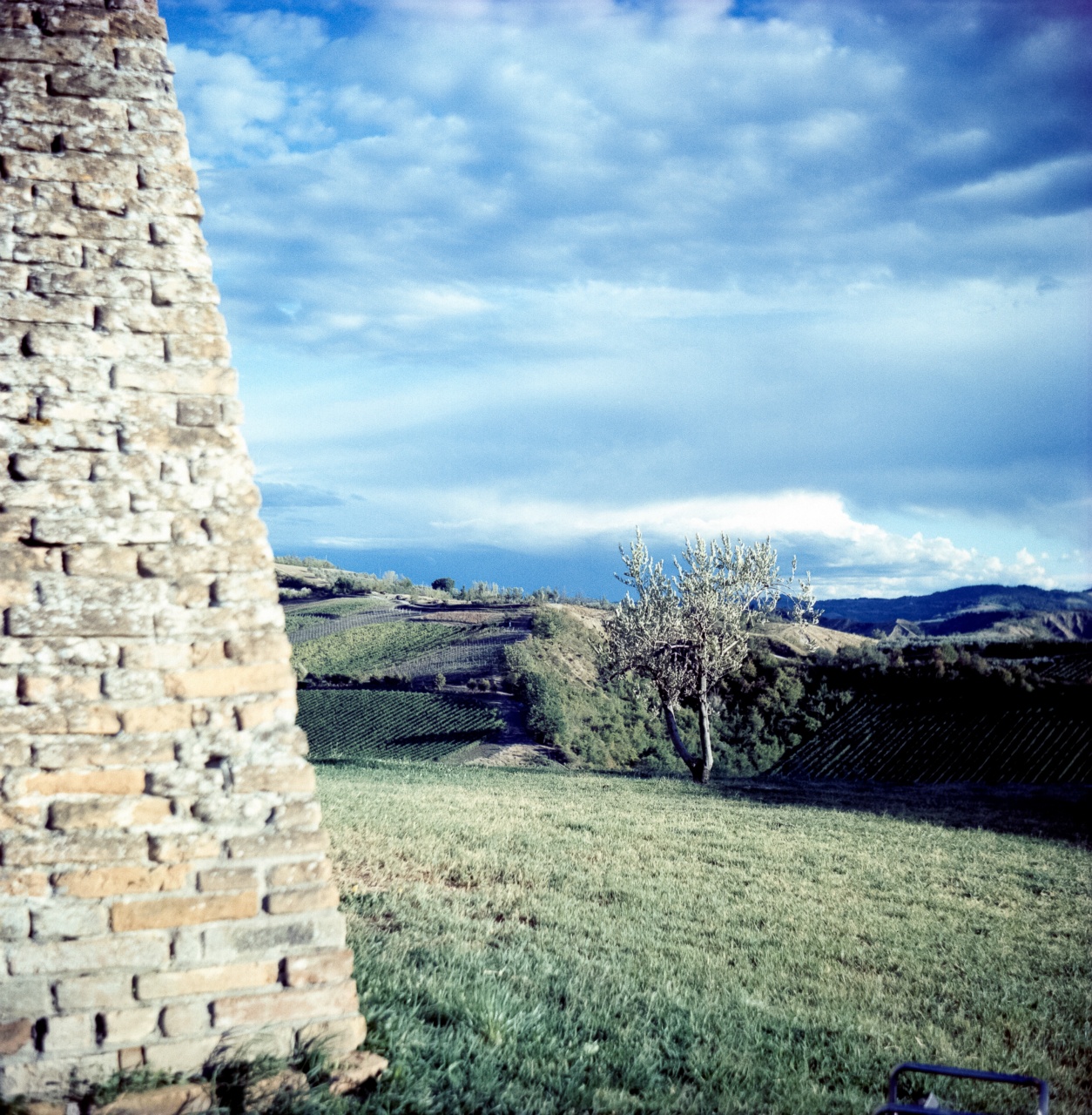 Lomo Lubitel 166B | Fujifilm Fujichrome Provia 100 X-Pro