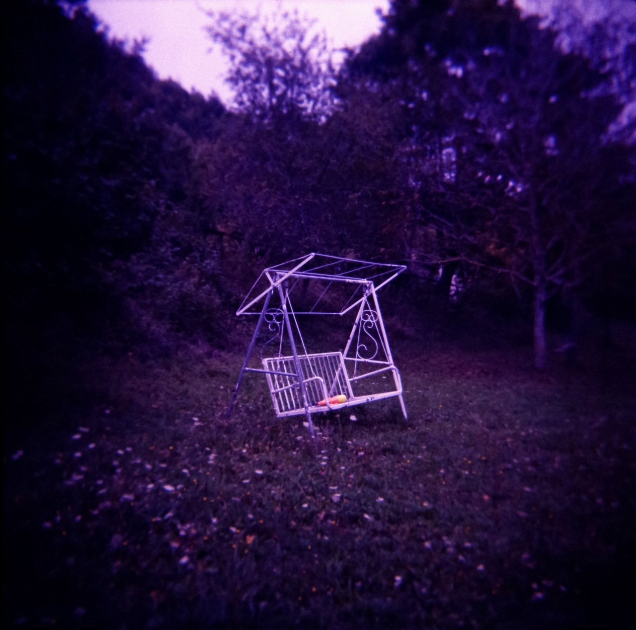 Holga GCFN | Lomography CN 800 [exp. 05/2016]