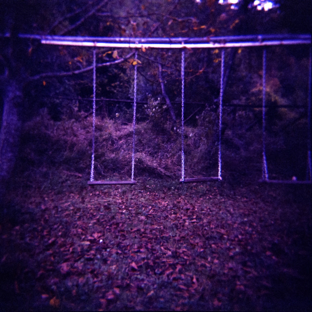 Holga GCFN | Lomography CN 800 [exp. 05/2016]