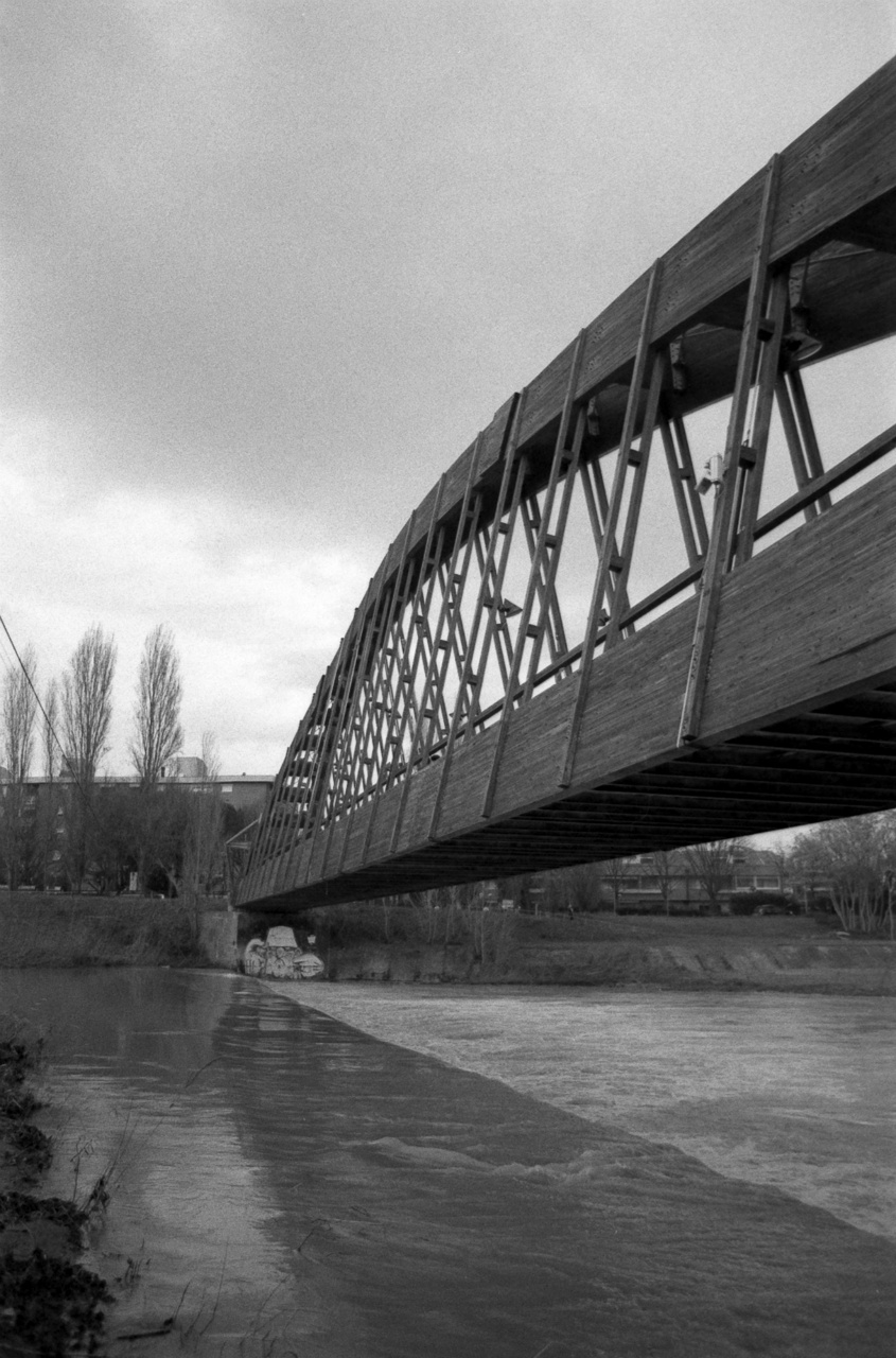 Yashica FX-2 | Lomography Lady Grey B&W 400 [exp. 08/2016]