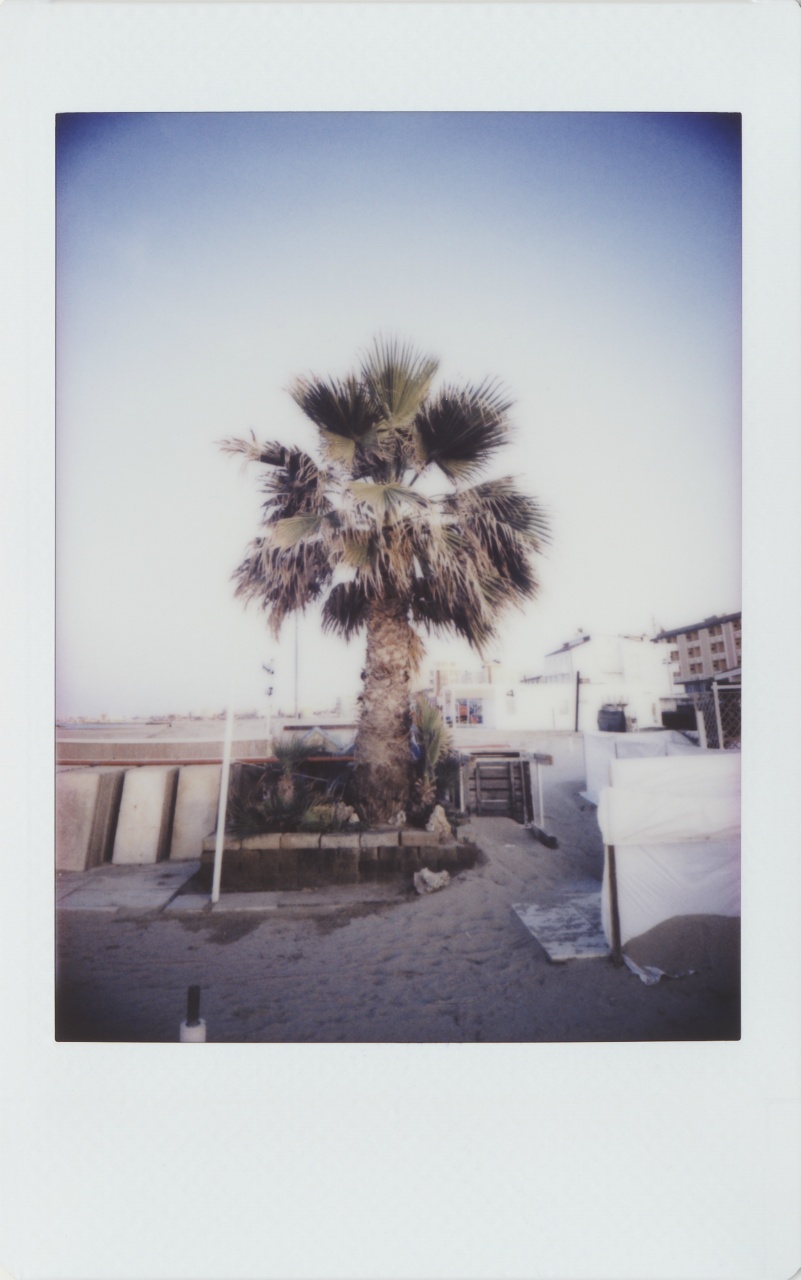 Lomography Lomo'Instant Automat Glass | Fujifilm Instax Mini [exp. 03/2020]