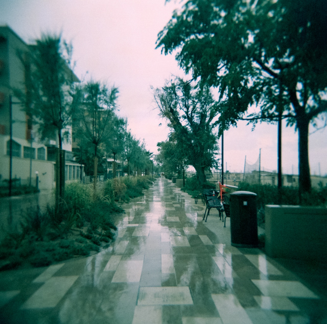 Holga GCFN | Lomography X-Pro Slide 200 [exp. 05/2018]