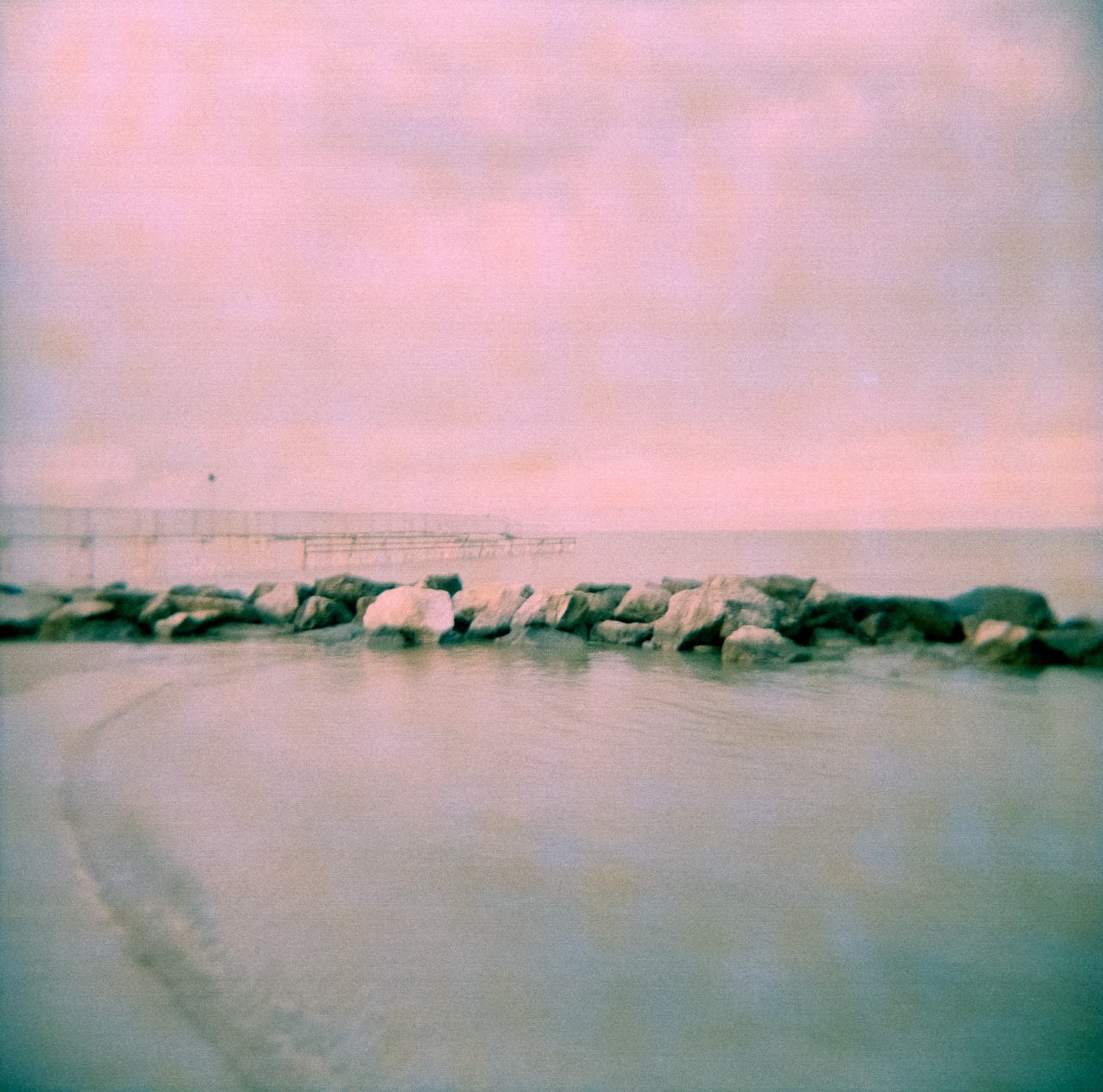 Holga GCFN | Lomography X-Pro Slide 200 [exp. 05/2018]