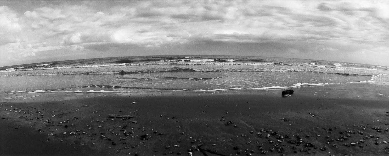 Zenit Horizon S3 Pro | Kodak 100TMX [exp. 07/2011]