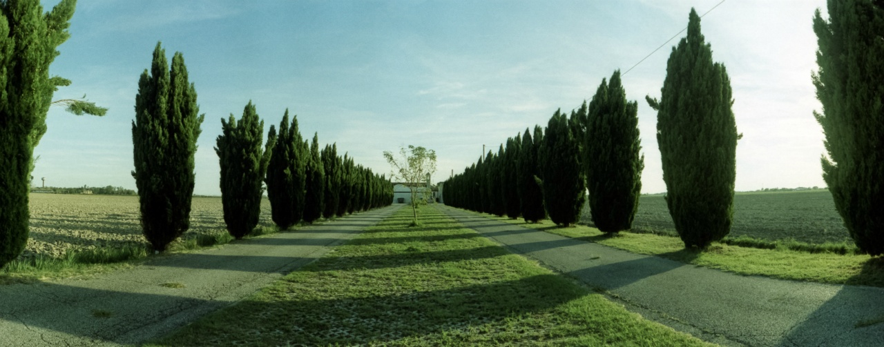 Zenit Horizon S3 Pro | Fujifilm Fujichrome Provia 100 X-Pro [exp. 05/2003]